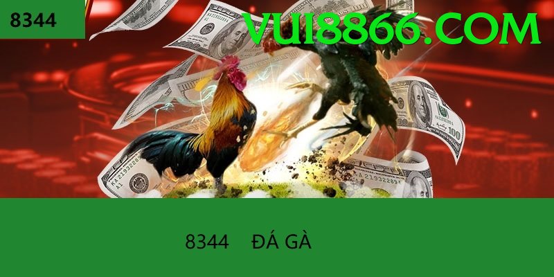 Đá Gà Trực Tiếp - Ưu đãi đặc biệt - Hỗ trợ